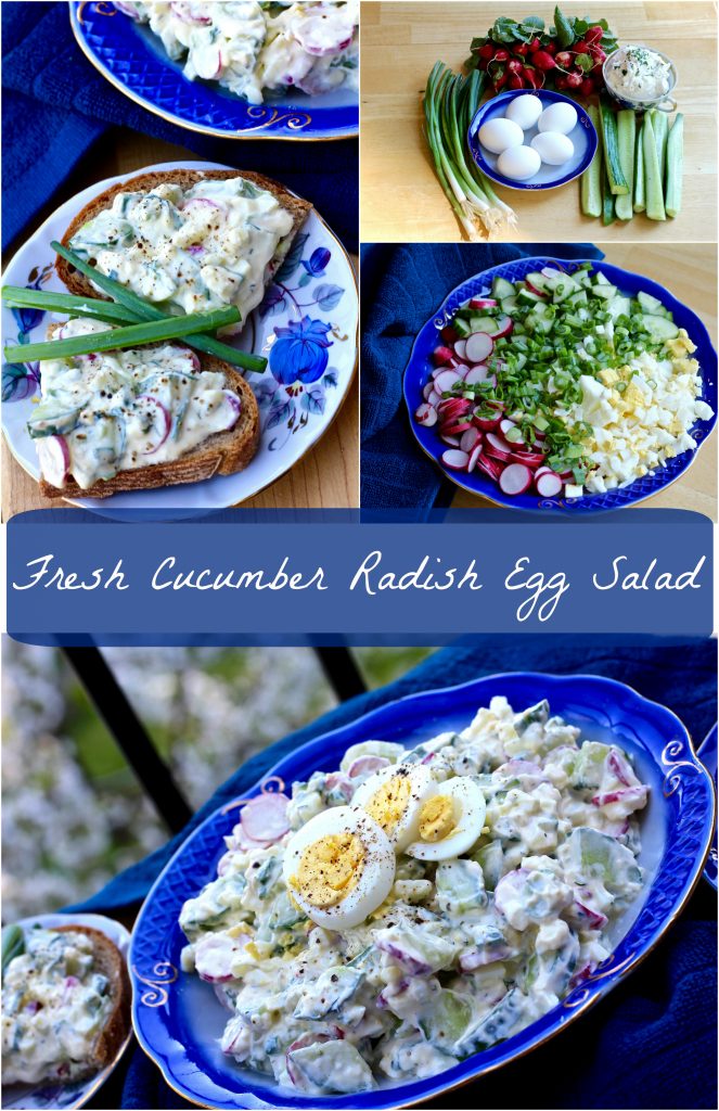 fresh cucumber radish egg salad
